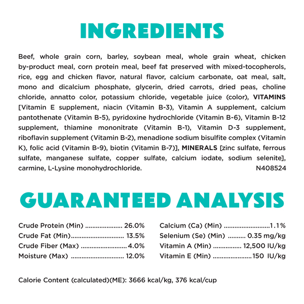 ContentPlus Image 4
