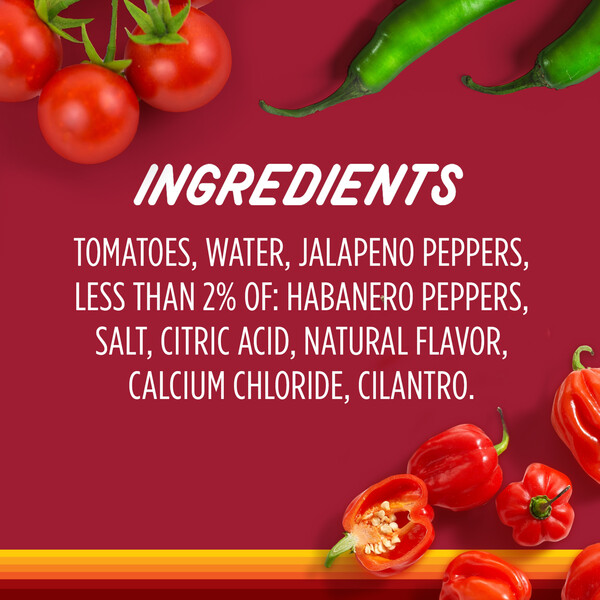 ContentPlus Image 4