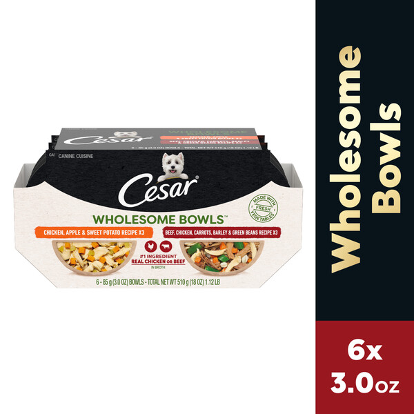 Cesar dog food chicken shop