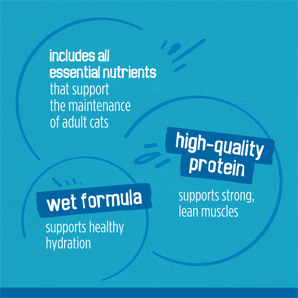 ContentPlus Image 7