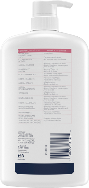 Back of Pack