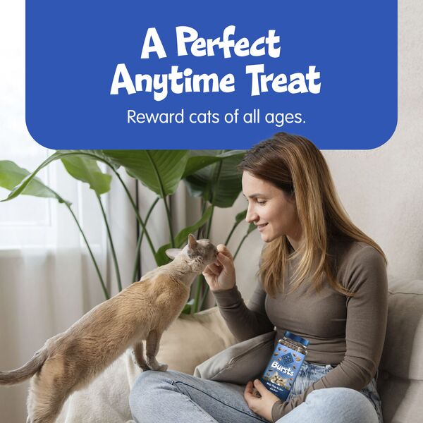 ContentPlus Image 3