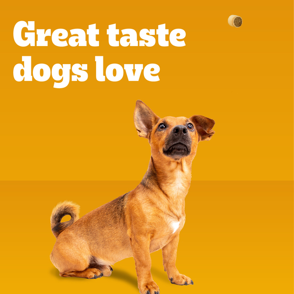 ContentPlus Image 4