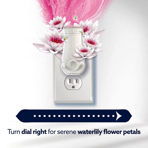 ContentPlus Image 4
