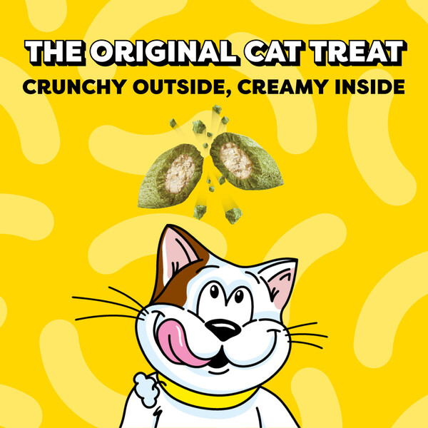 ContentPlus Image 2