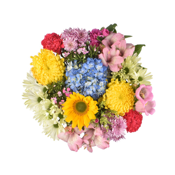 ContentPlus Image 1