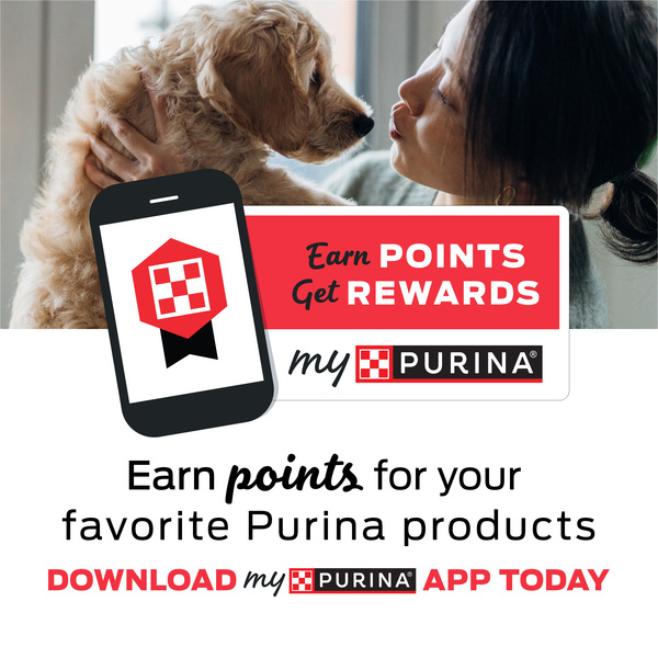 ContentPlus Image 2
