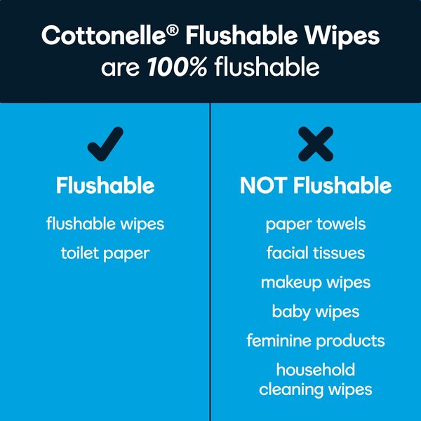 Cottonelle Flushable Wipes 42 ct pkg Food Lion