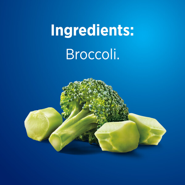 ContentPlus Image 4