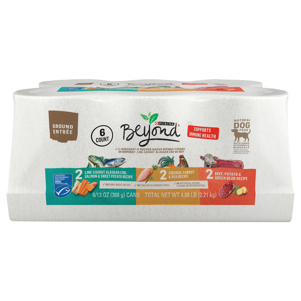 Beyond wet dog food outlet