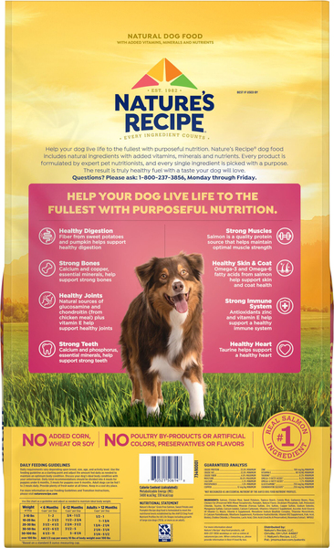 Nature's recipe healthy skin dry dog food discount