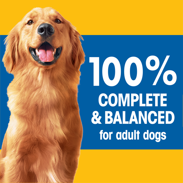 Pedigree dog food big bag clearance