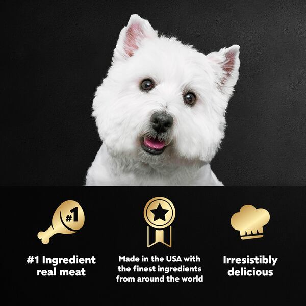 ContentPlus Image 2