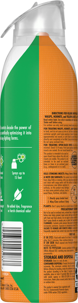 Back of Pack
