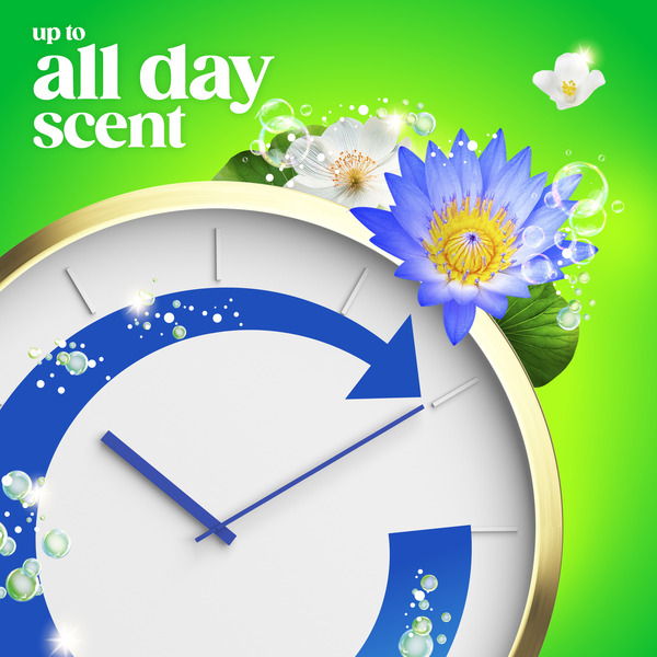 ContentPlus Image 7