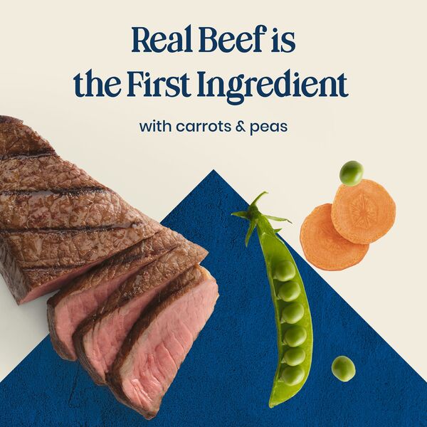 ContentPlus Image 3