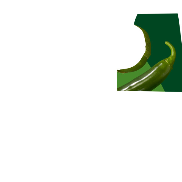 ContentPlus Image 4