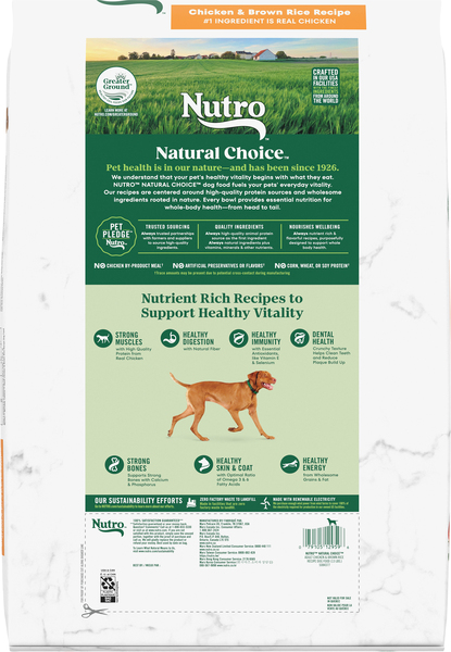 Nutro choice sale puppy