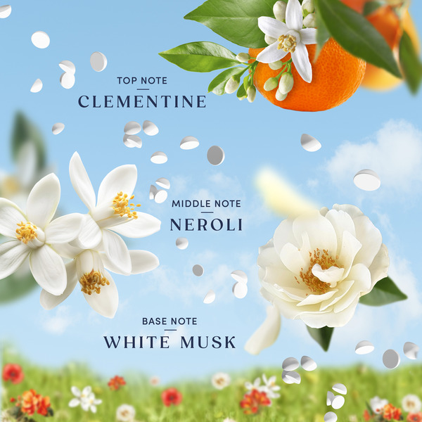 ContentPlus Image 4