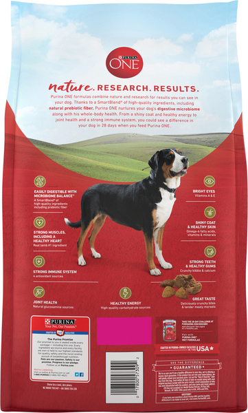 Back of Pack