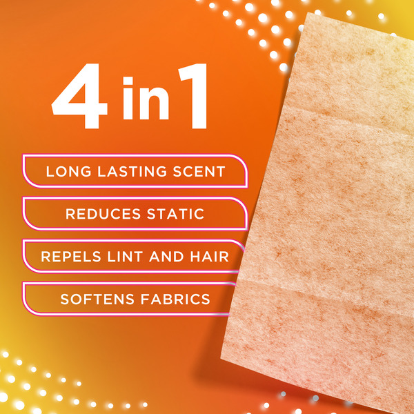 ContentPlus Image 3