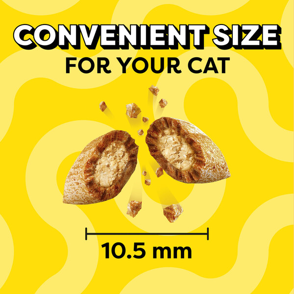 ContentPlus Image 2