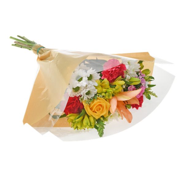 ContentPlus Image 2
