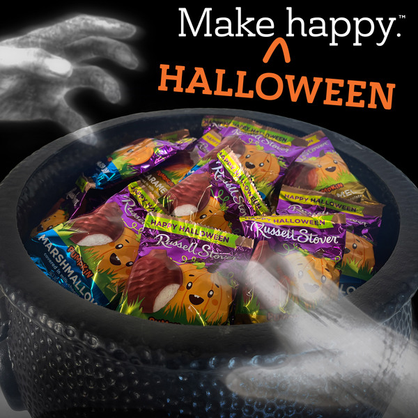 ContentPlus Image 3