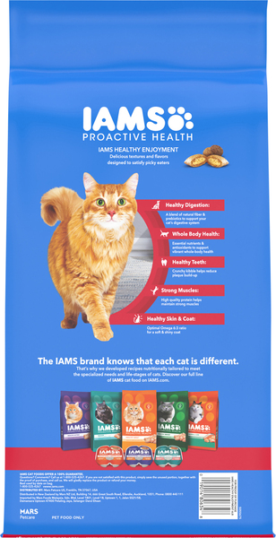 IAMS Proactive Health Healthy Enjoyment Chicken Beef Adult Dry Cat Food 6 lb bag
