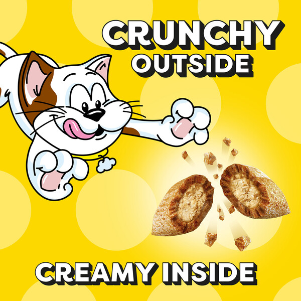 ContentPlus Image 1