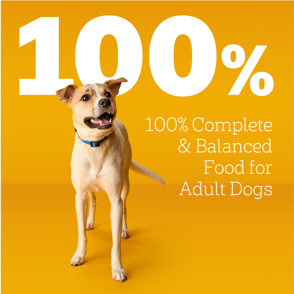 ContentPlus Image 1