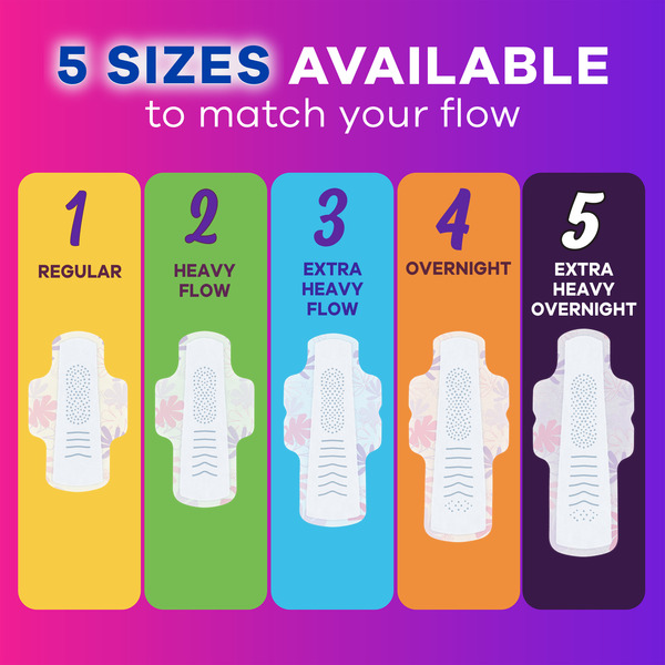 ContentPlus Image 7