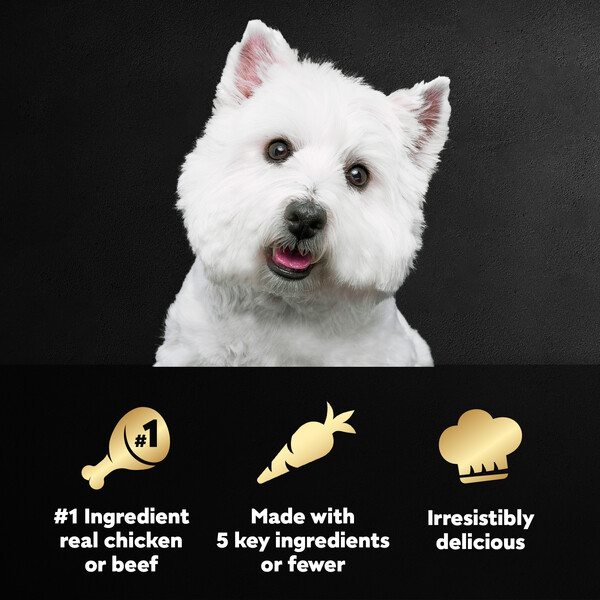 ContentPlus Image 5