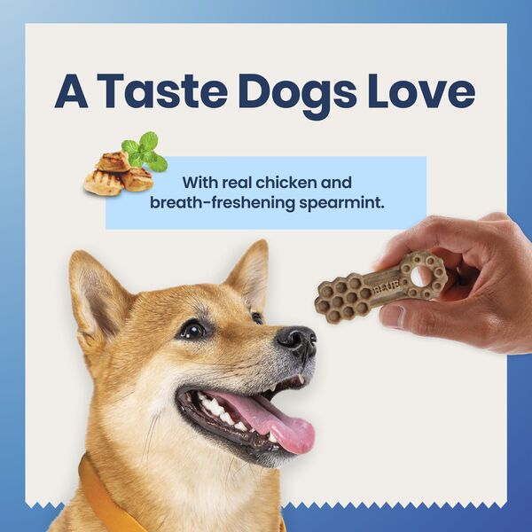 ContentPlus Image 2