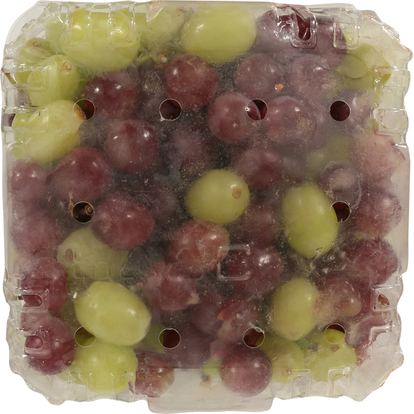 Back of Pack