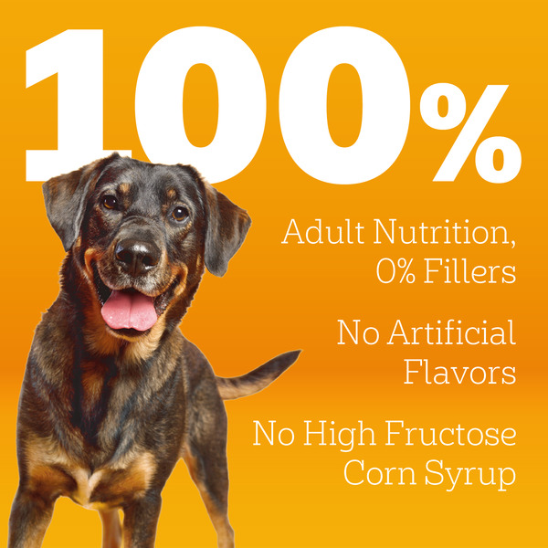 ContentPlus Image 4