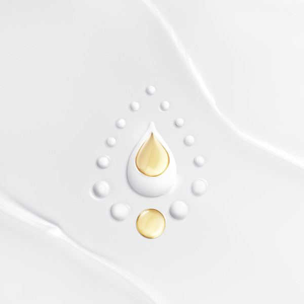 ContentPlus Image 4