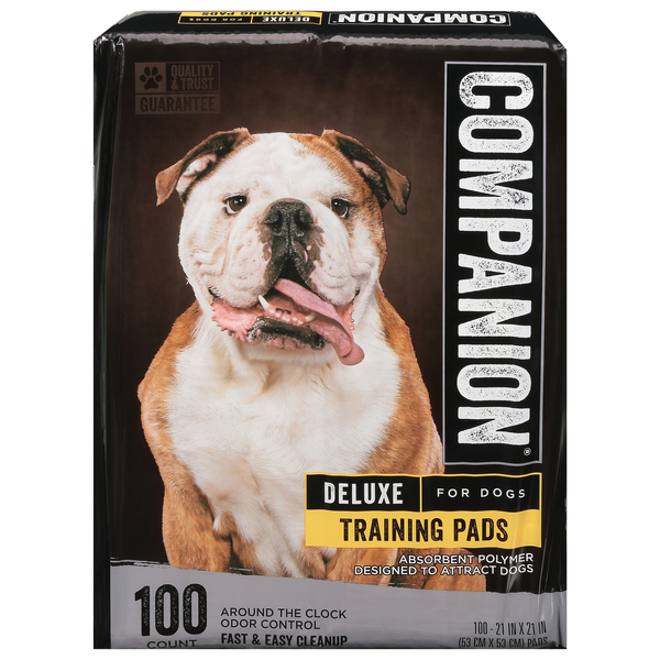 Companion Deluxe Training Pads for Dogs 100 ct box GIANT
