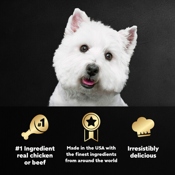 ContentPlus Image 4