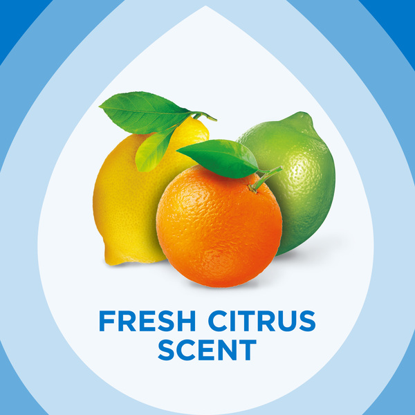 ContentPlus Image 7