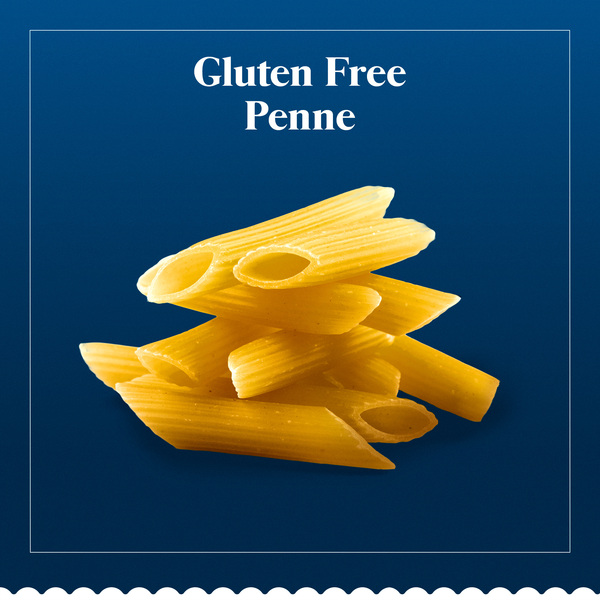 ContentPlus Image 7