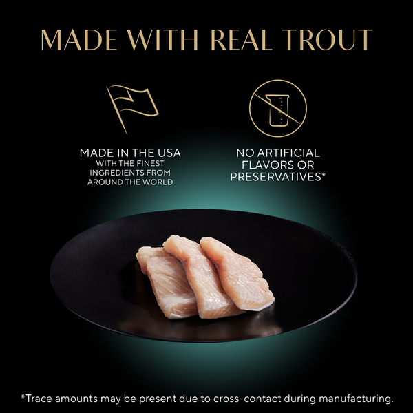 ContentPlus Image 1