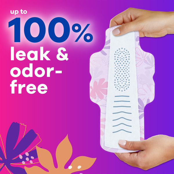 ContentPlus Image 2