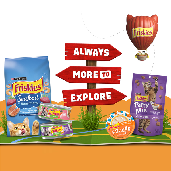 ContentPlus Image 5