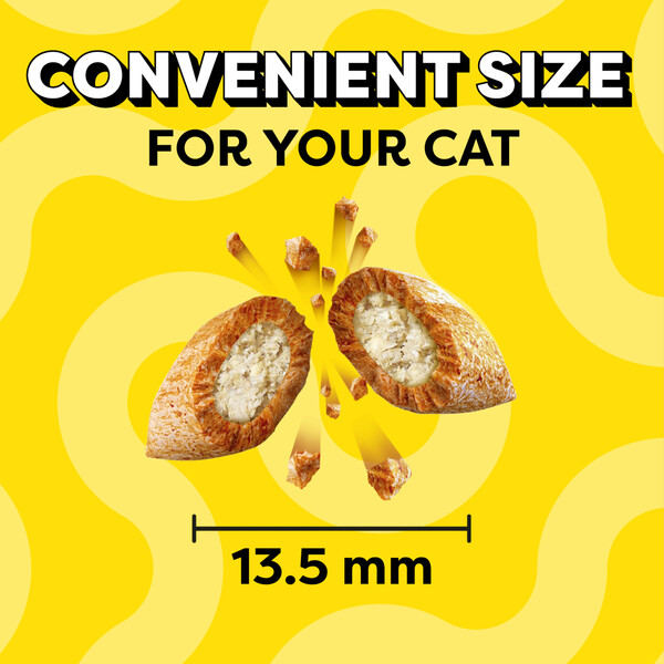 ContentPlus Image 2