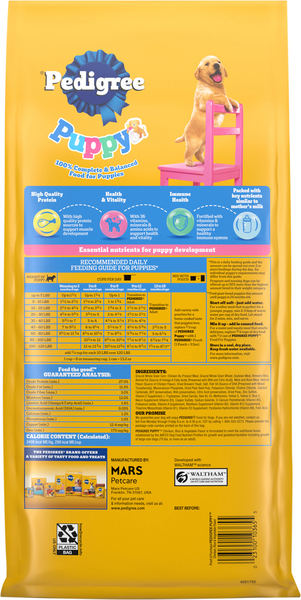 Back of Pack