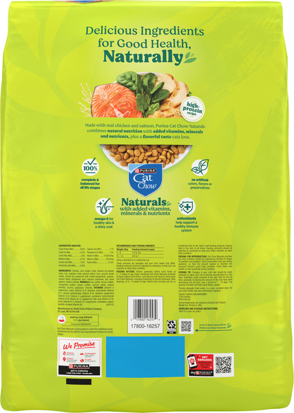 Back of Pack