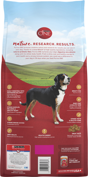 Back of Pack