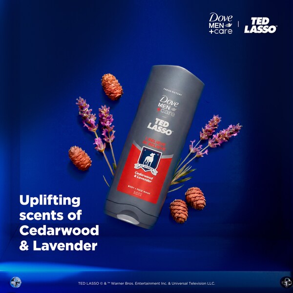 ContentPlus Image 2
