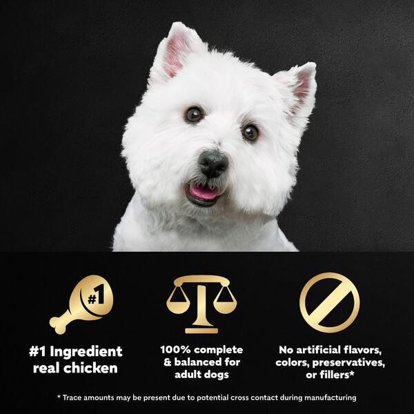 ContentPlus Image 2